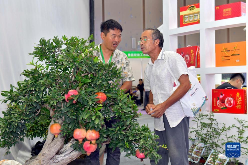 伯爵正版棋牌